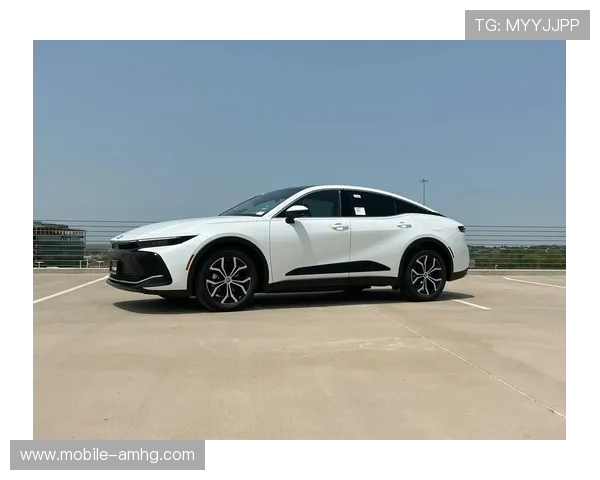 皇冠最新官网crown官网官方平台介绍，详细解析官网的功能与特色