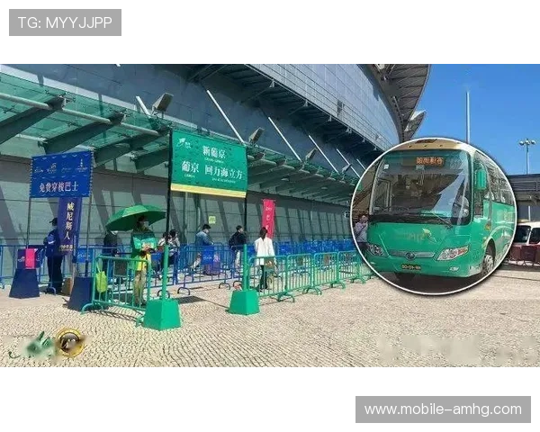 回力海立方在年轻人中受欢迎的原因分析及其市场扩展策略