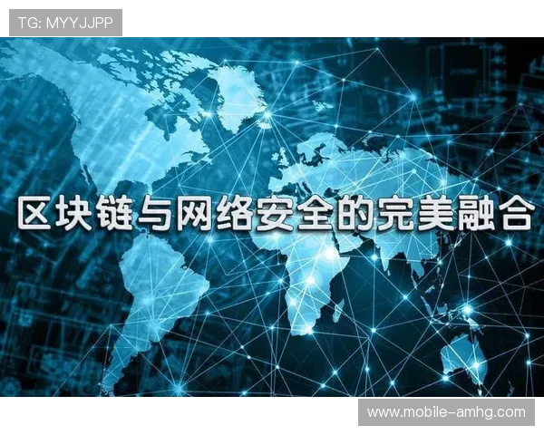 皇冠平台官网安全保障措施,保障玩家个人信息安全与资金安全的最佳方案